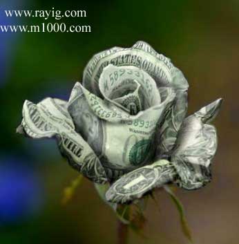 FLEUR 3