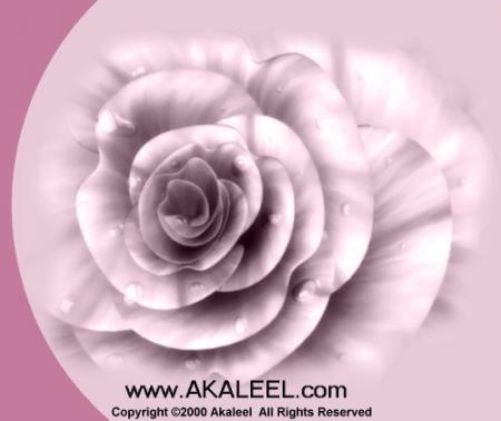 FLEUR 5